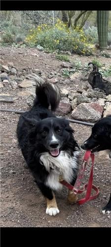 Rescue